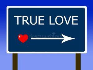 أهم ميزات الحب الحقيقي