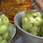 10 وصفات لتحضير مخلل التفاح