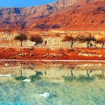 هل تبحث عن جولة ممتعة؟ إليك أفضل المناطق السياحية في الأردن